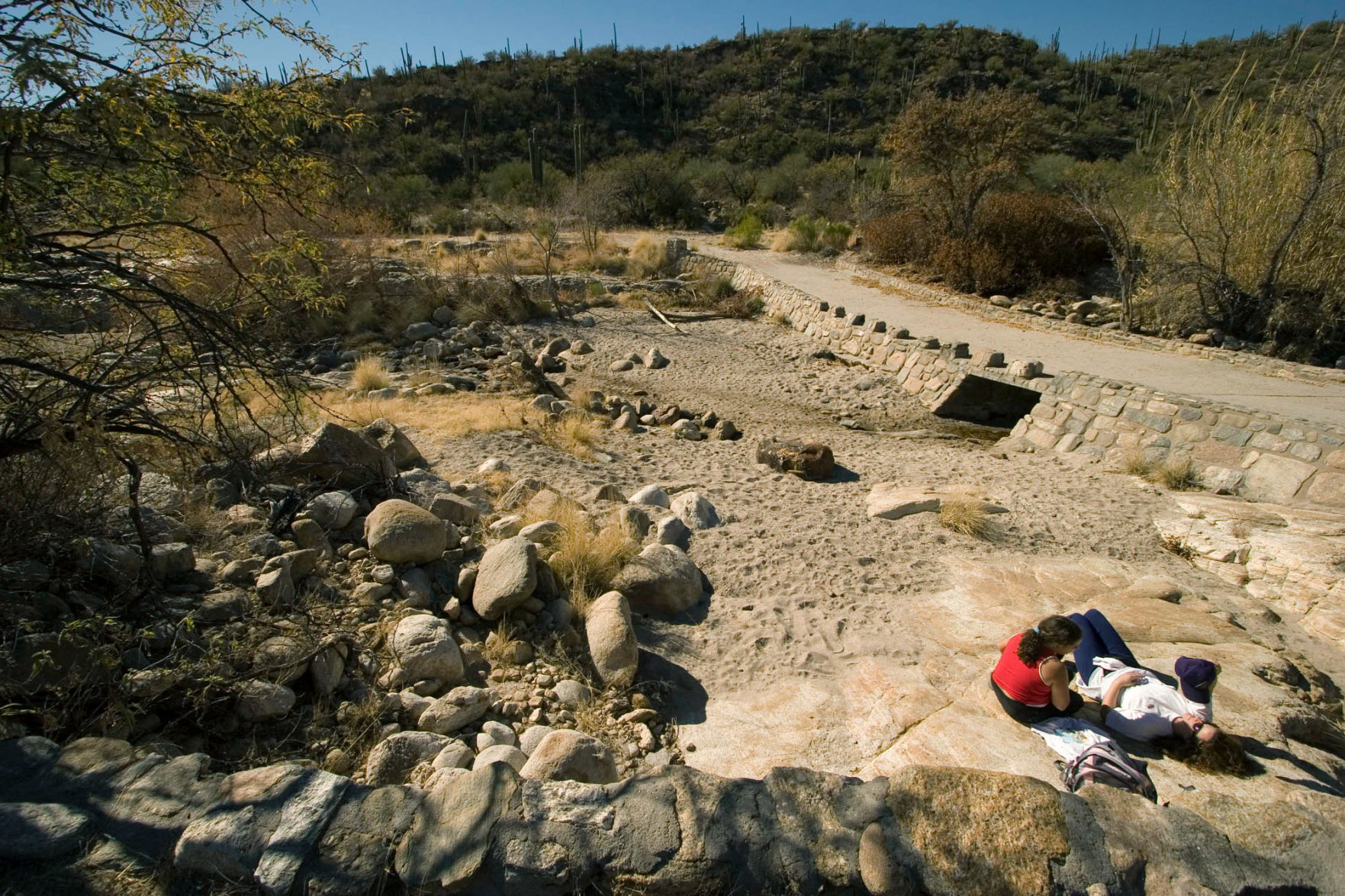 Sabino Creek, 2005